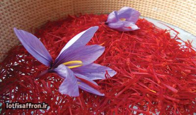 Different types of precious saffron