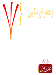 زعفران نگین - قسمت های نشان داده شده از زعفران 